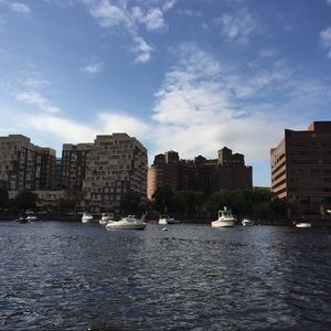 Meet your Posher, Maddie